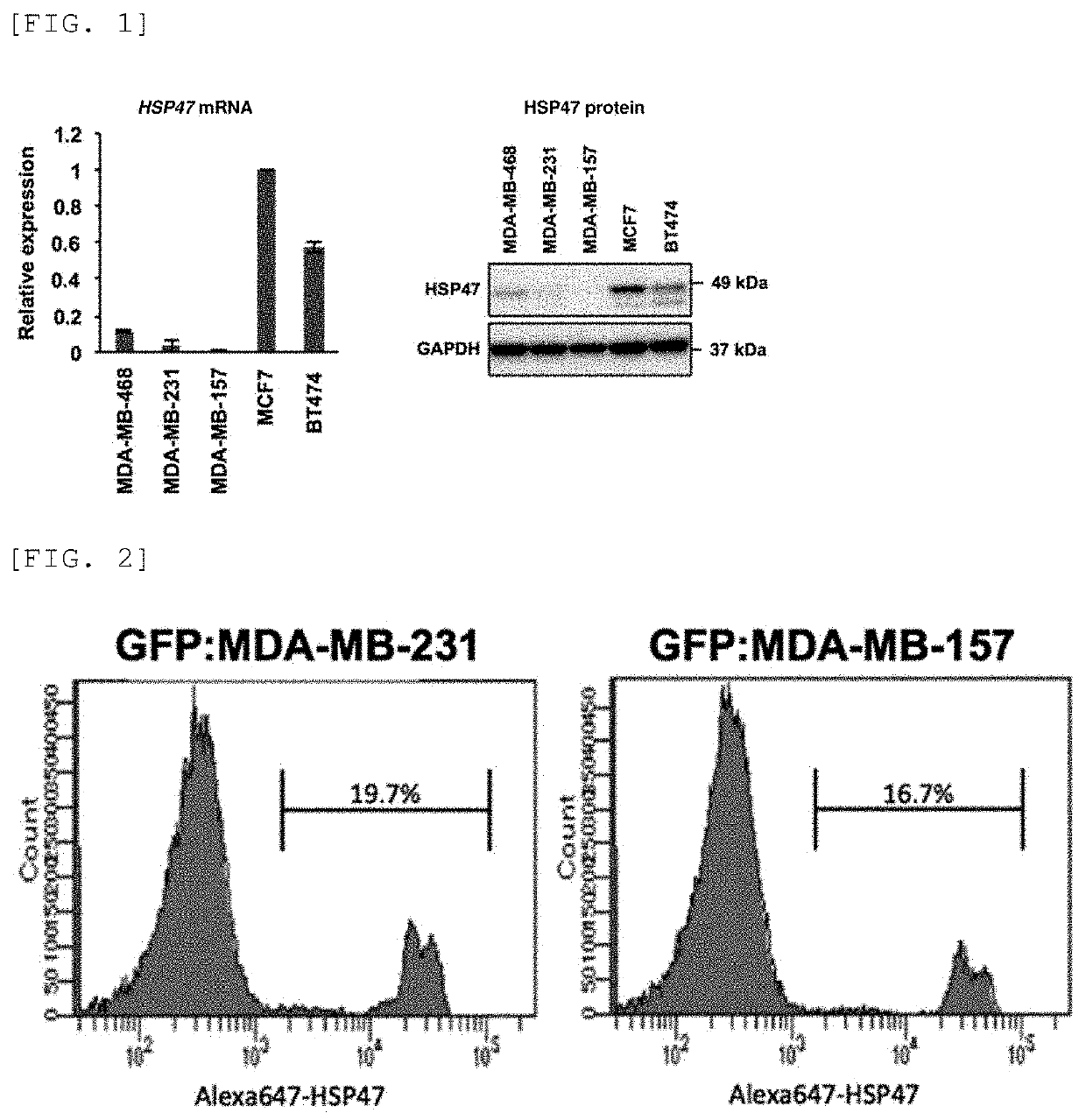 Agent using hsp47 inhibitor to suppress metastasis