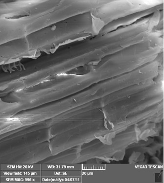 Extraction method of ginkgo leaf flavonoids based on steam explosion