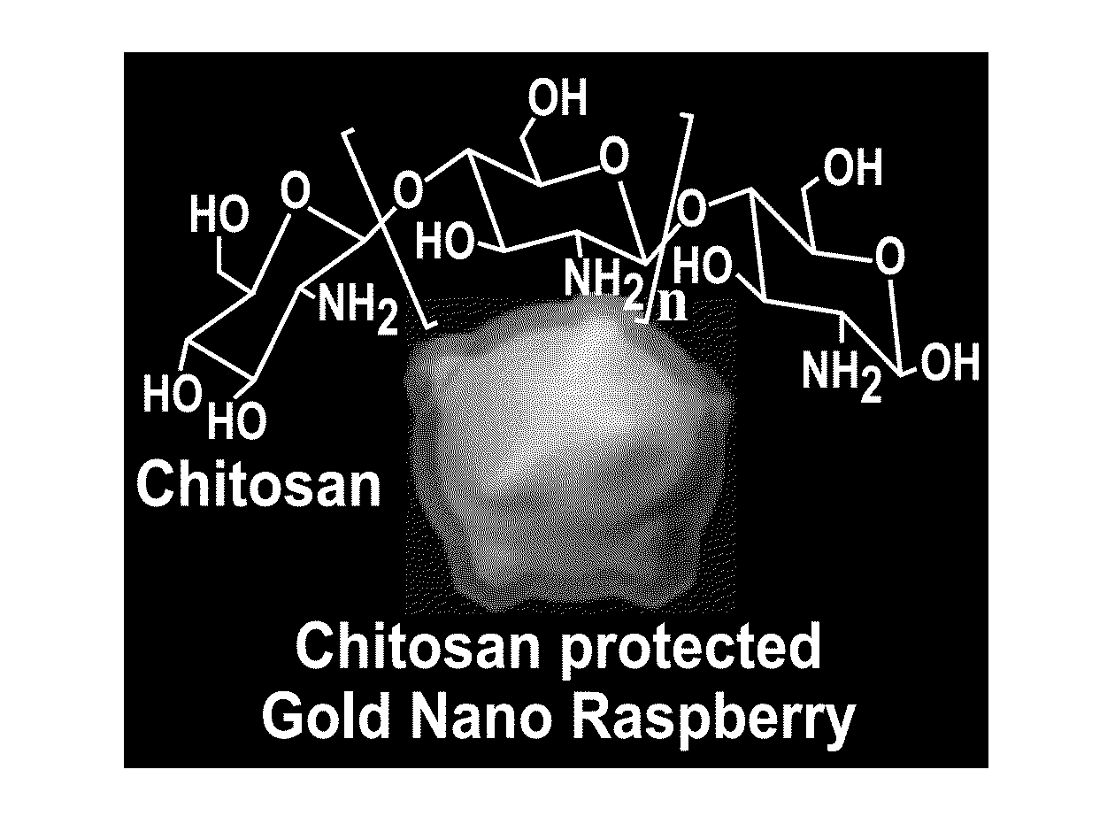 Nanoraspberries for photothermal cancer therapy