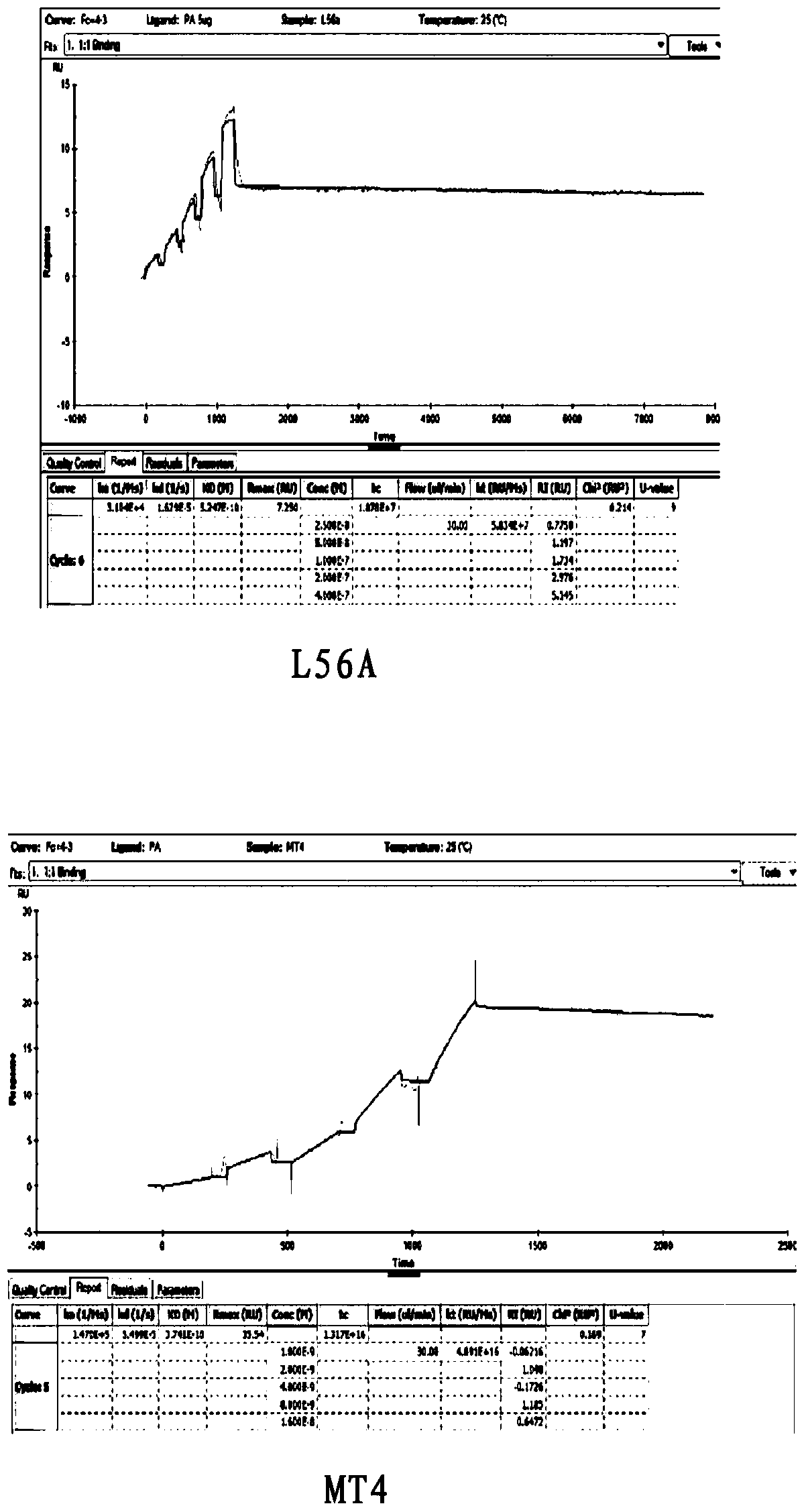 Tumor vascular endothelial cell marker 8 mutant, its fusion protein and application