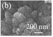 Method for preparing trimethylamine gas sensor from NiO-In2O3 material with flower-shaped structure