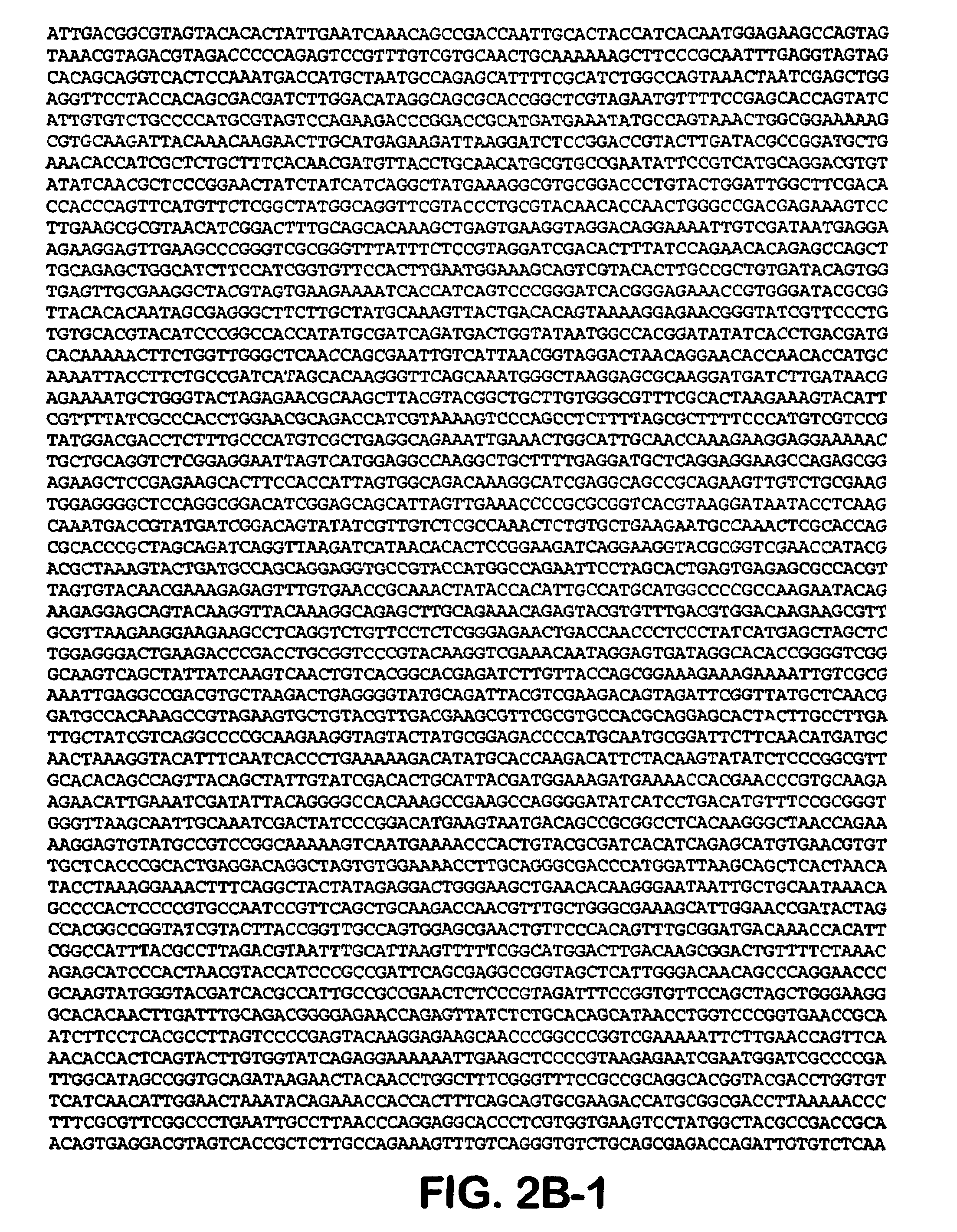 Compositions and methods for generating an immune response utilizing alphavirus-based vector systems