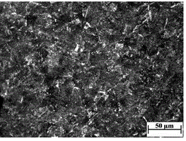 Coil rod for pre-stressed steel strand and production method of coil rod