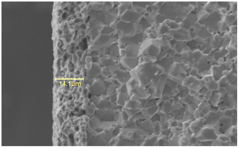 Electrocondution slurry for chip component termination electrode