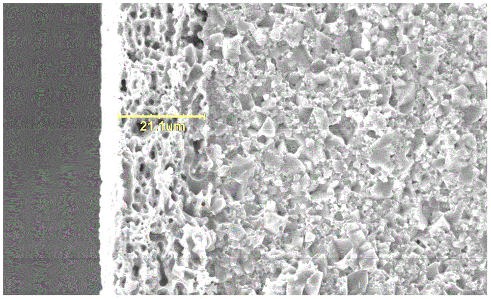 Electrocondution slurry for chip component termination electrode