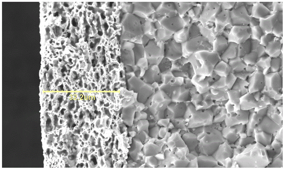 Electrocondution slurry for chip component termination electrode