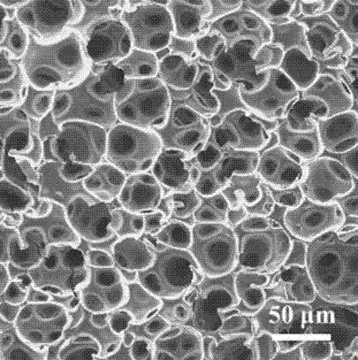 Method for preparing through-hole polymer porous aquagel by using graphene oxide (GO)