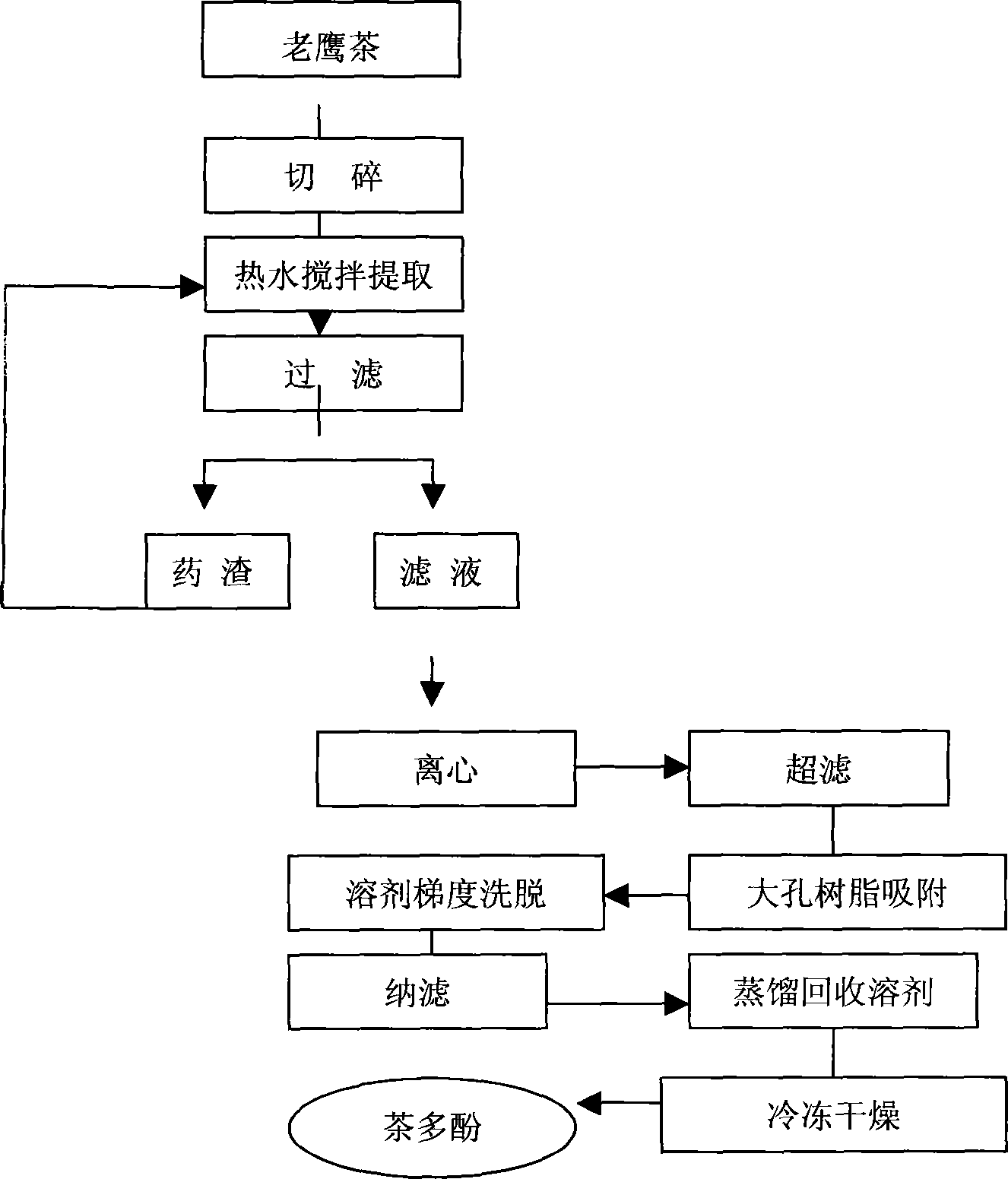 Method for extracting tea polyphenol from Litsea coreana