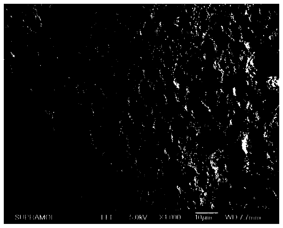 A biological scaffold material for root regeneration, preparation method and application thereof