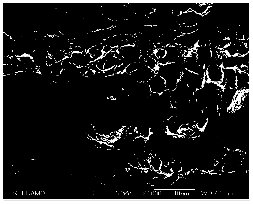 A biological scaffold material for root regeneration, preparation method and application thereof