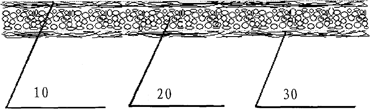 Three-layer sandwiched composite eiderdown flake and manufacturing method thereof