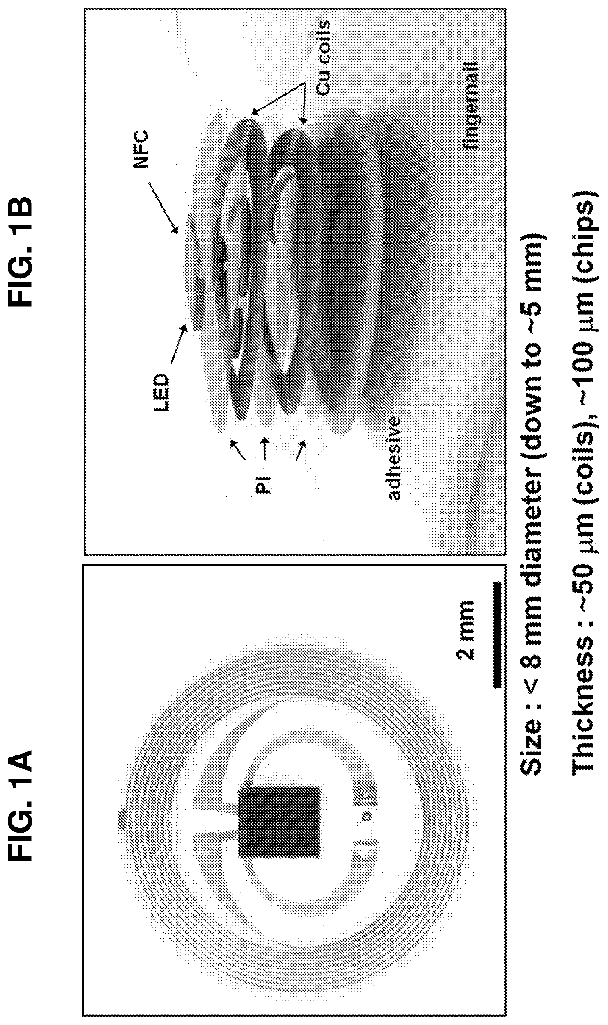 Miniaturized electronic systems with wireless power and near-field communication capabilities