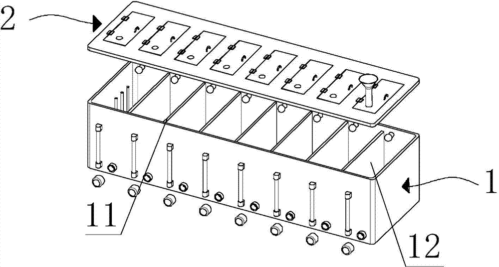 Immobilization device and immobilization method for pathological tissues