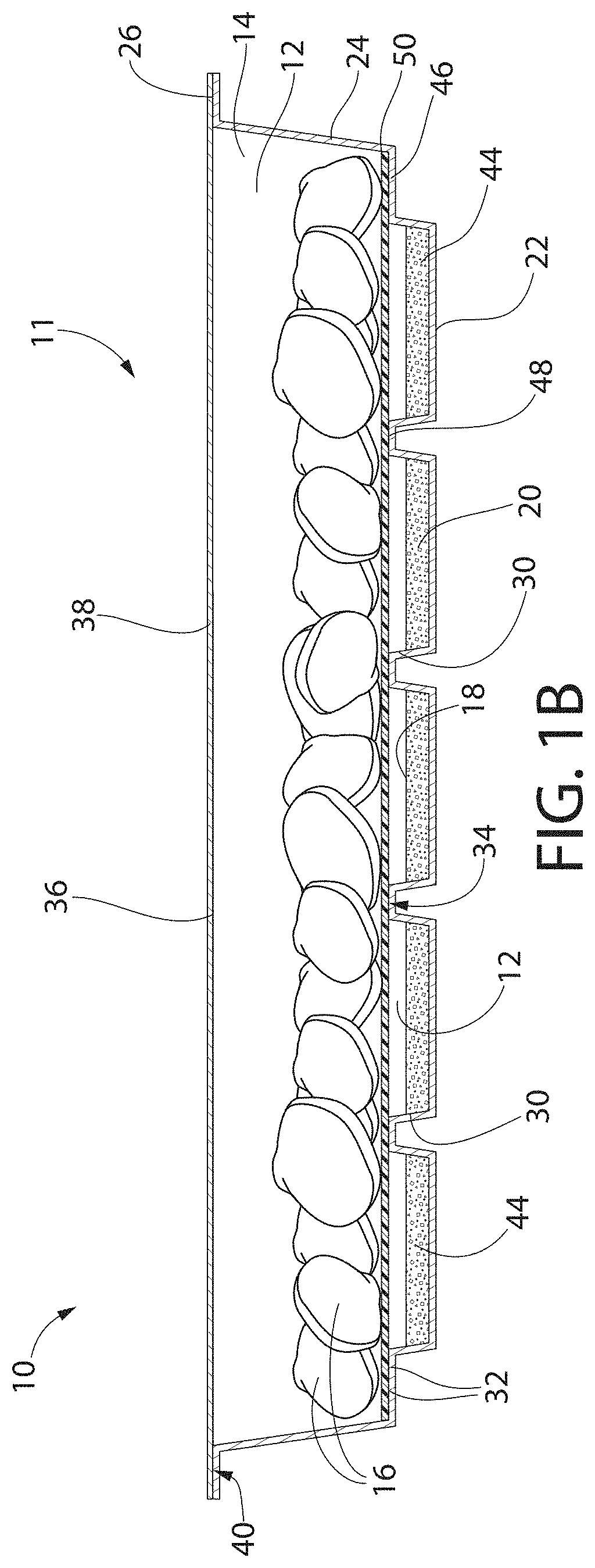 Methods of packaging and preserving mollusks