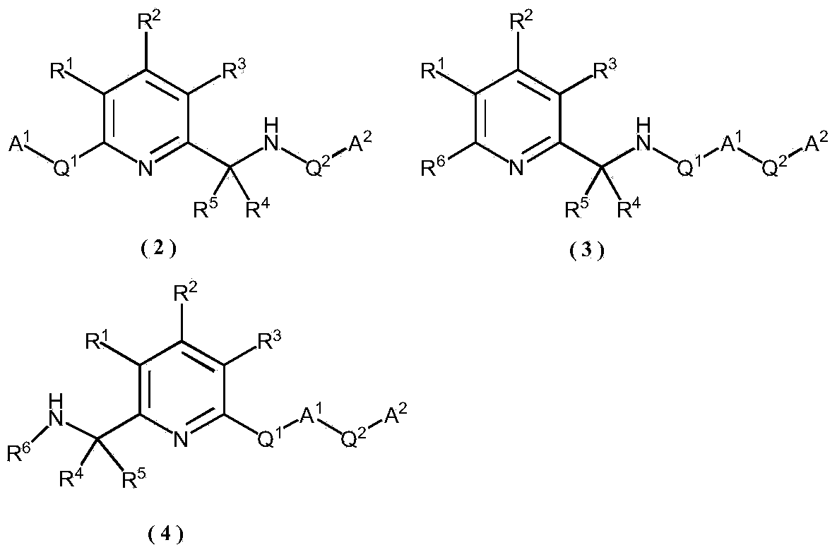 Complex containing 2-aminopyridine tetradentate ligand and application thereof