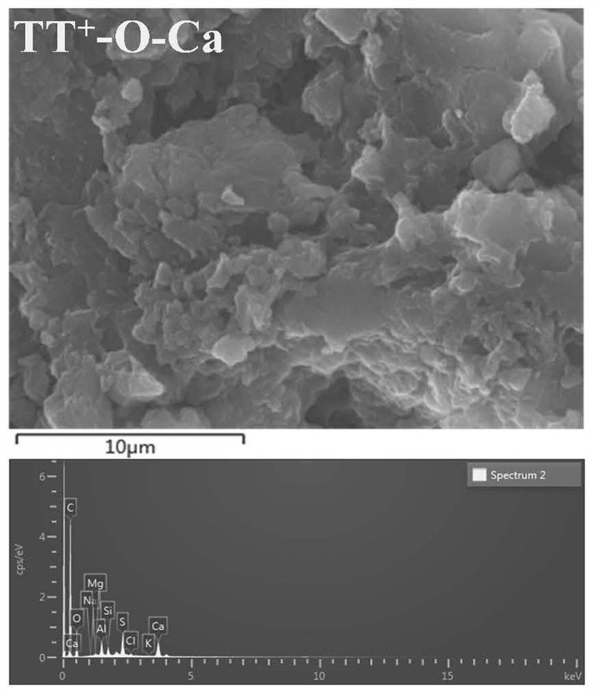 Steam gasification method for anthracite