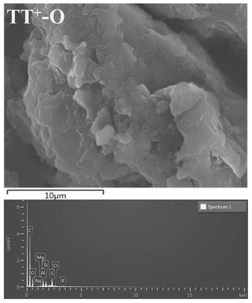 Steam gasification method for anthracite