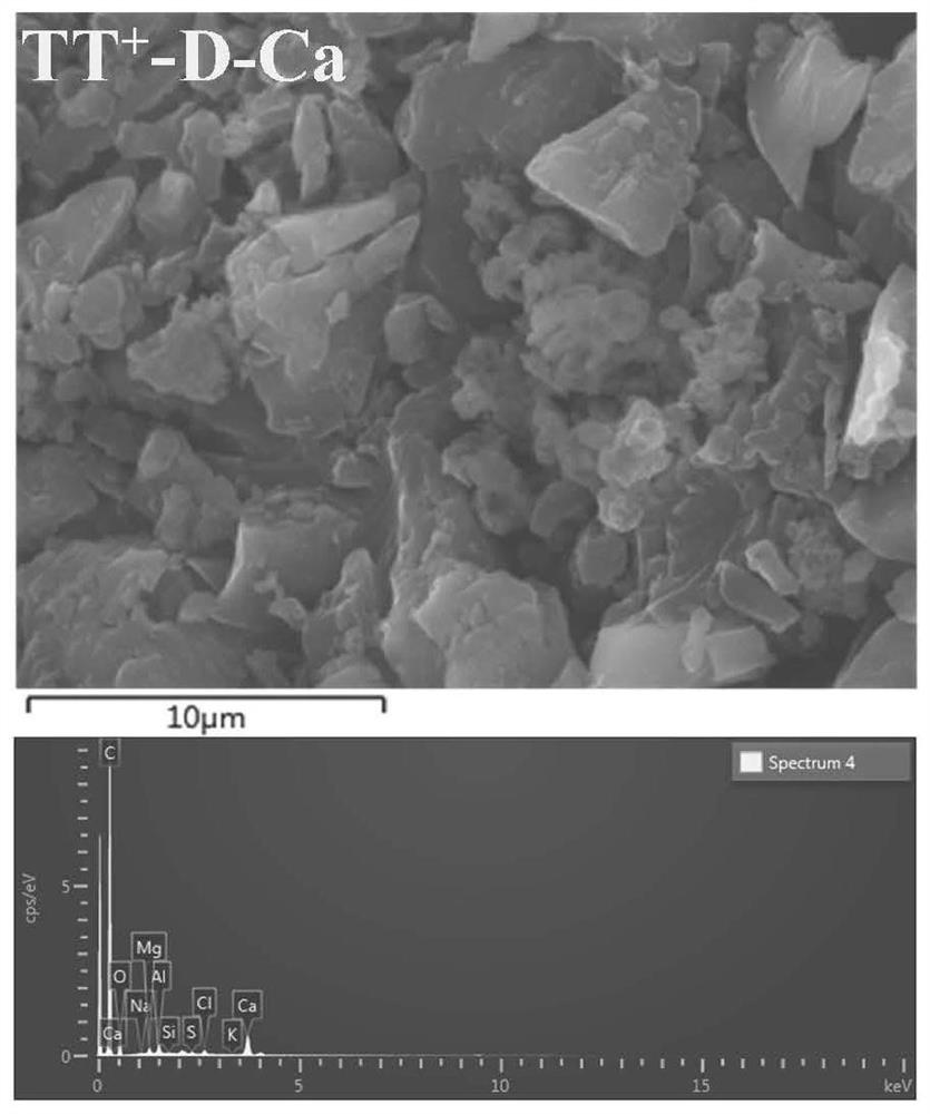 Steam gasification method for anthracite