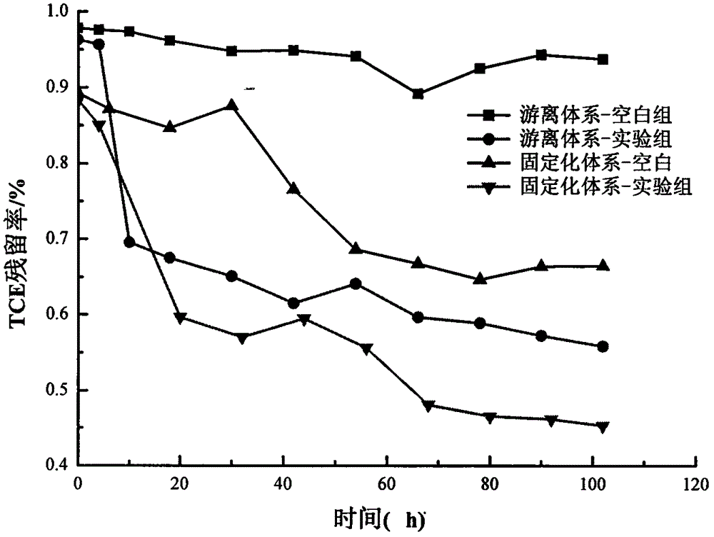 Method for degrading trichloroethylene by virtue of biological carbon immobilized microorganism co-metabolism