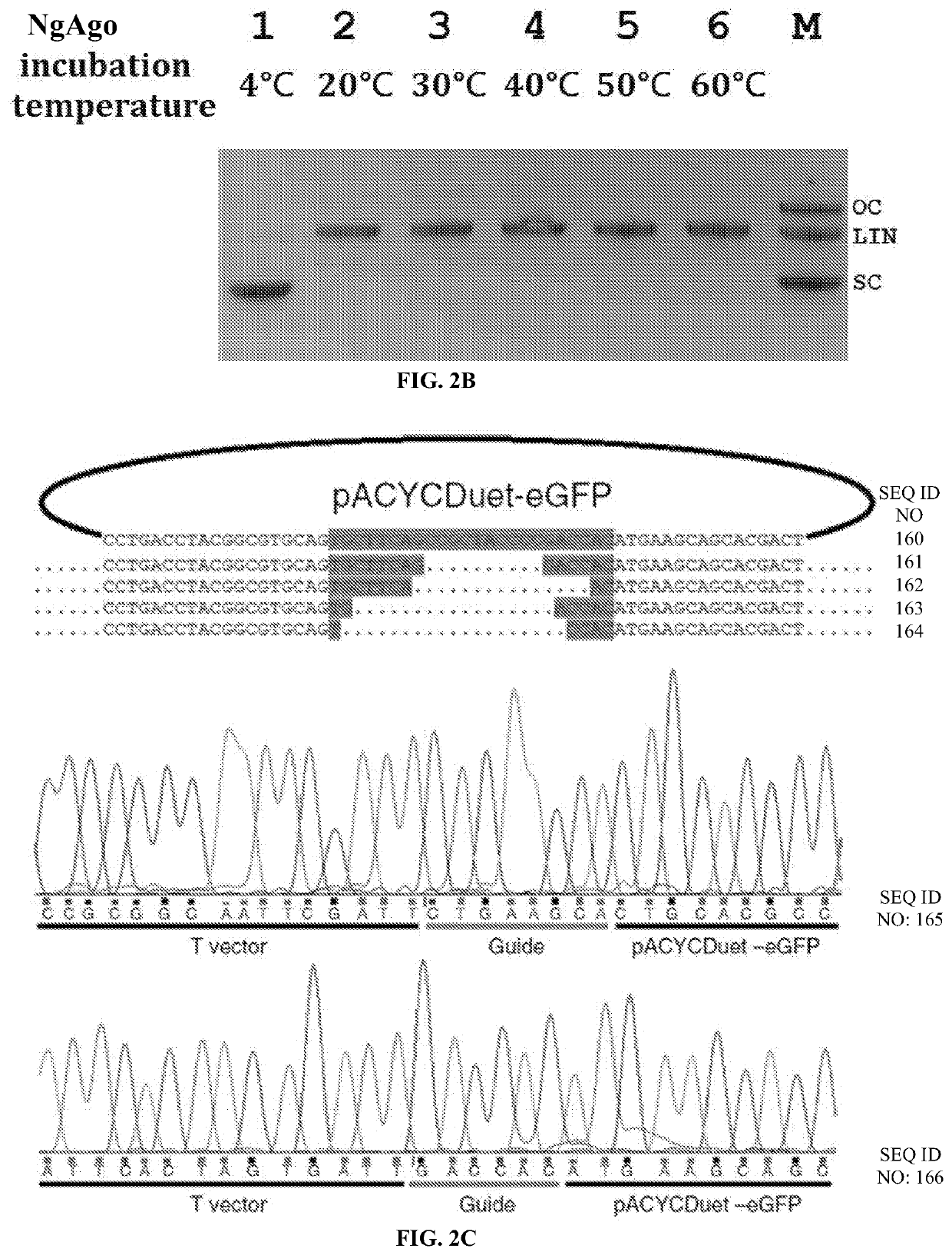 Compositions and methods for gene editing