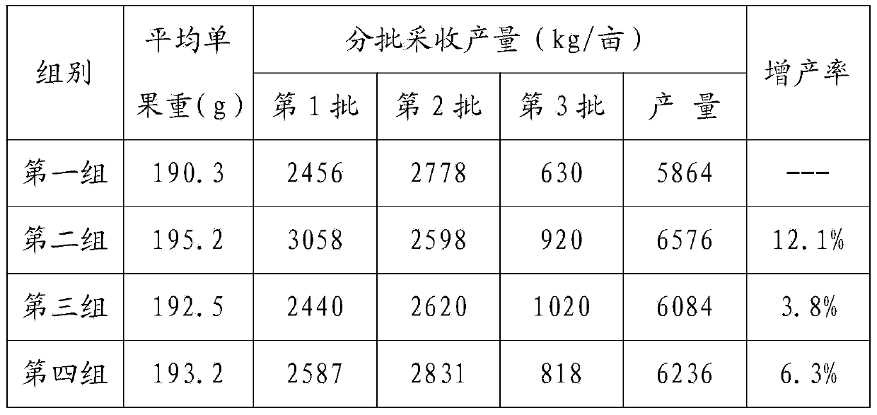 Long-acting and slow-release blended fertilizer special for tomatoes