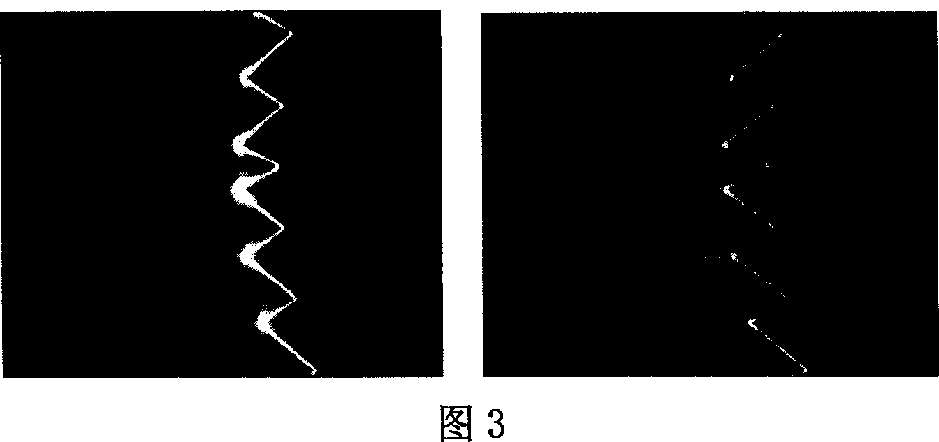 Dynamic 3D laser scanning testing head