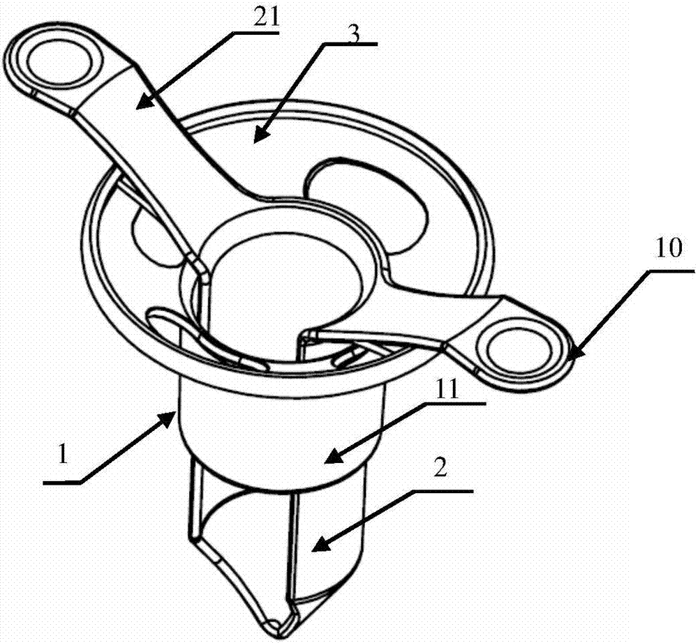 Auxiliary instrument for anorectal operation