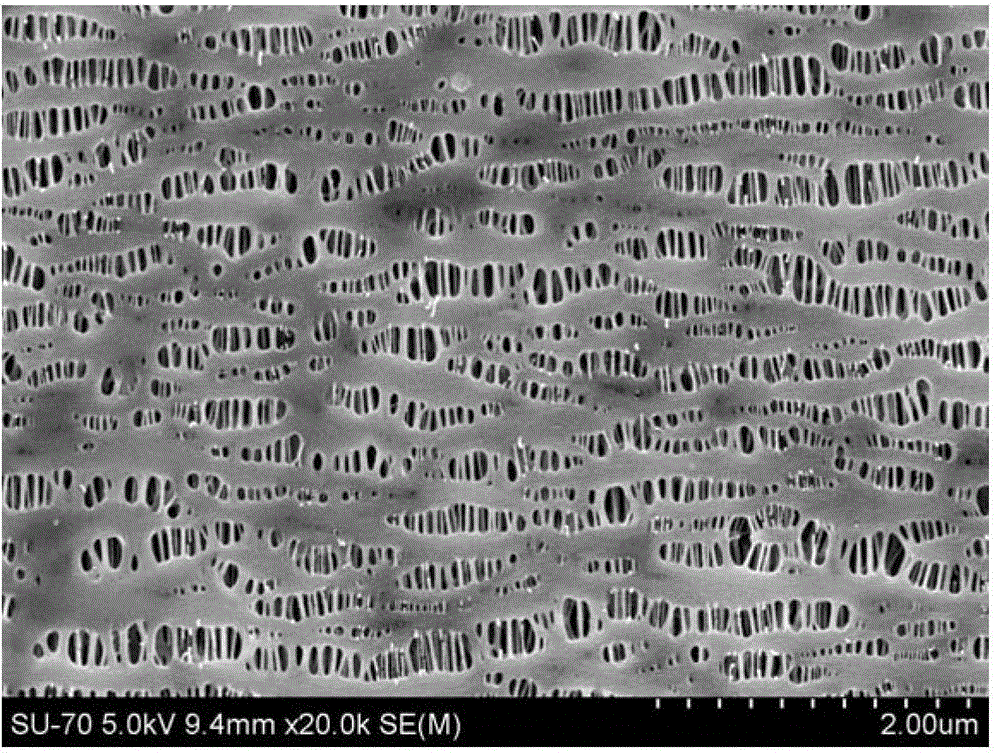 Polypropylene microporous membrane and preparation method thereof