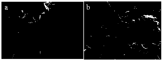 Multifunctional graphene electrothermal paste, multifunctional electrothermal film prepared by same, preparation method and application