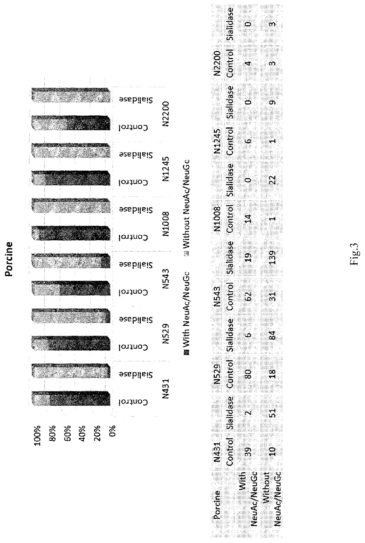 Process for a preparation of the modified porcine plasma fibronectin for enhance wound healing