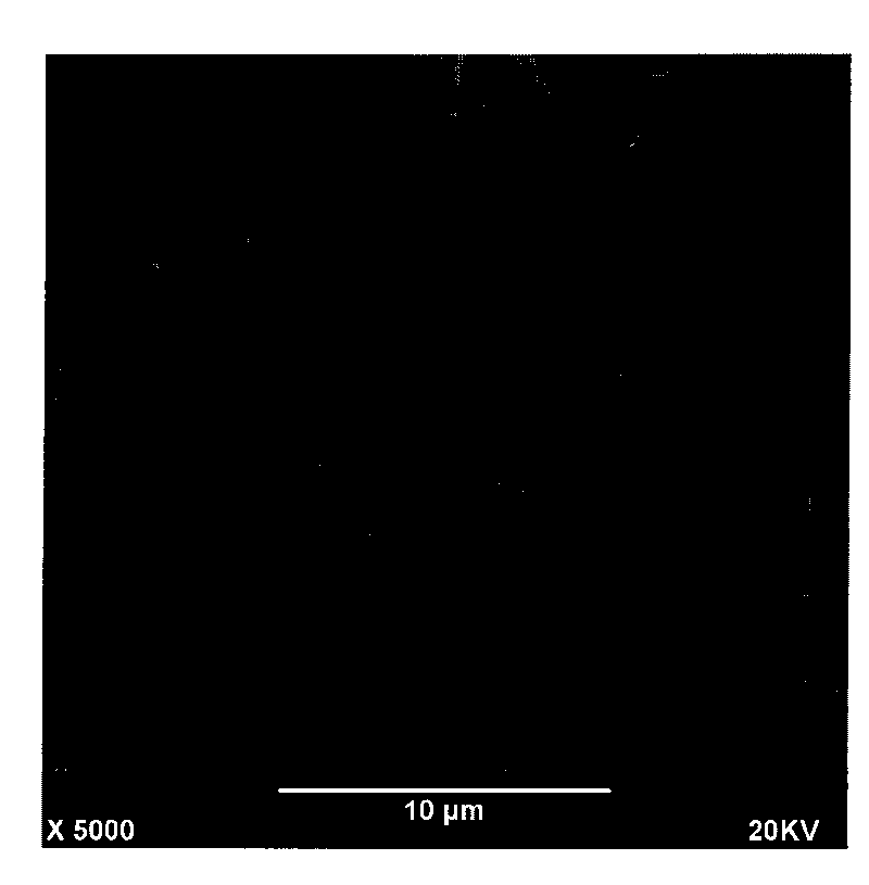 ZSM-5/rectorite composite catalytic material and preparation method thereof