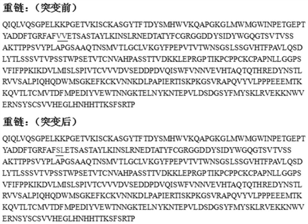 Murine monoclonal antibody against Zika virus envelope protein