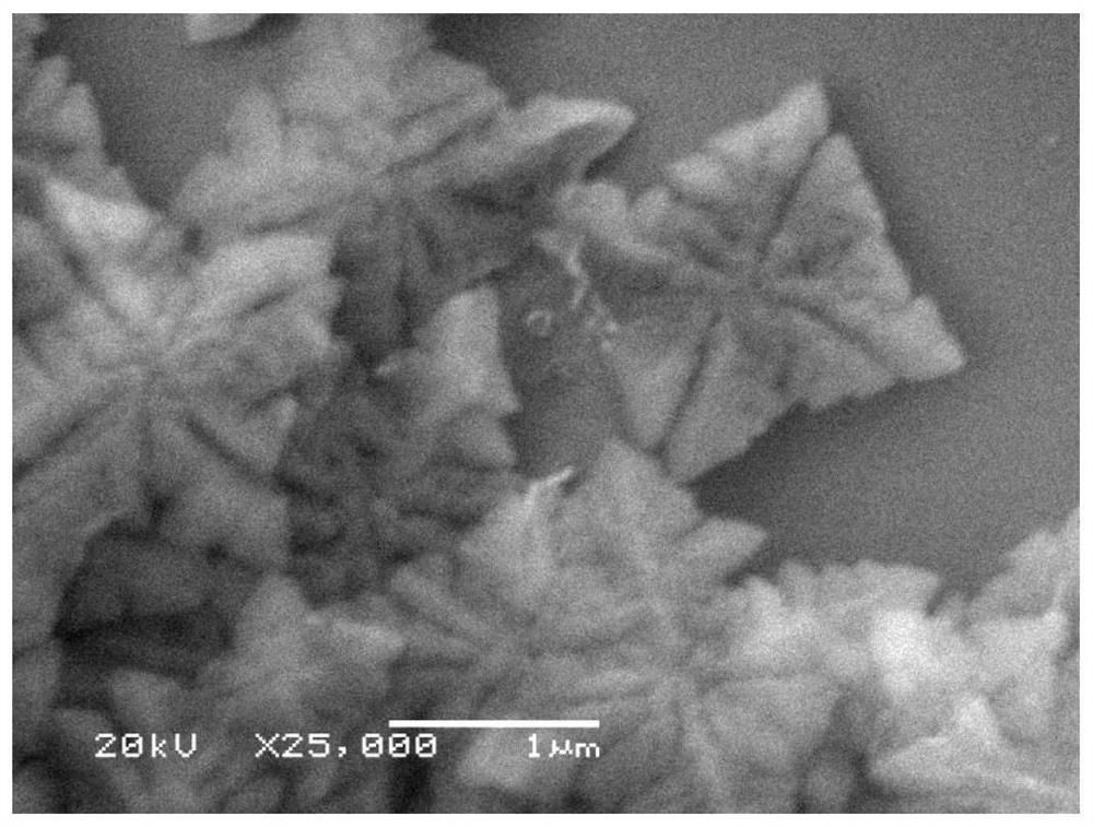 A method for preparing micron materials using surfactant-induced self-assembly metalloporphyrin