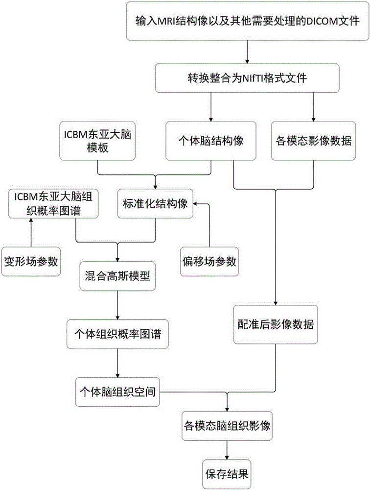 Method for three-dimensional registration and brain tissue extraction of individual human brain multimodality medical images