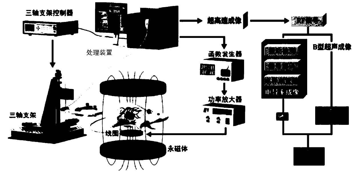 Specific conductance imaging system, specific conductance imaging method and storage medium