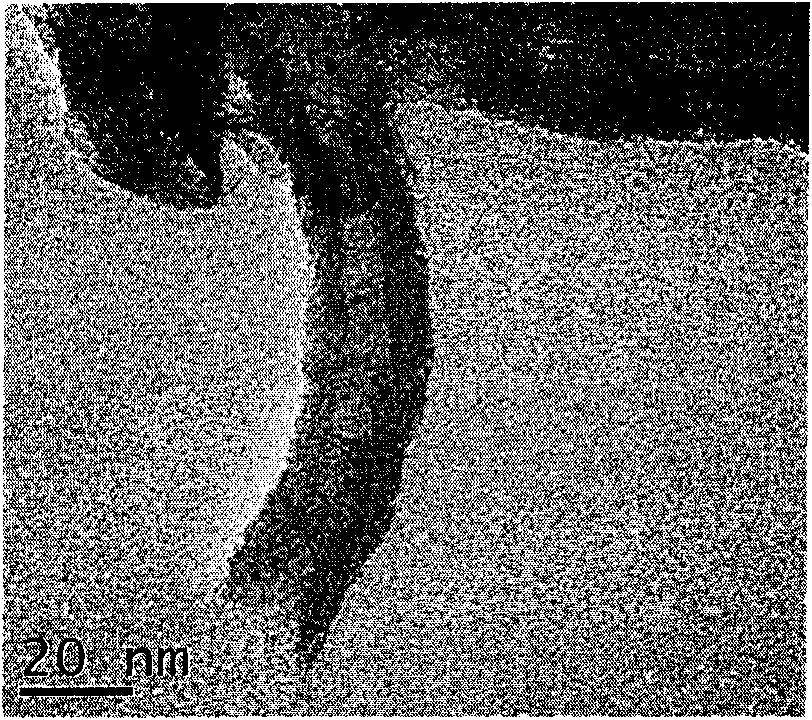 Platinum/carbon nanotube catalyst and preparation method and application thereof