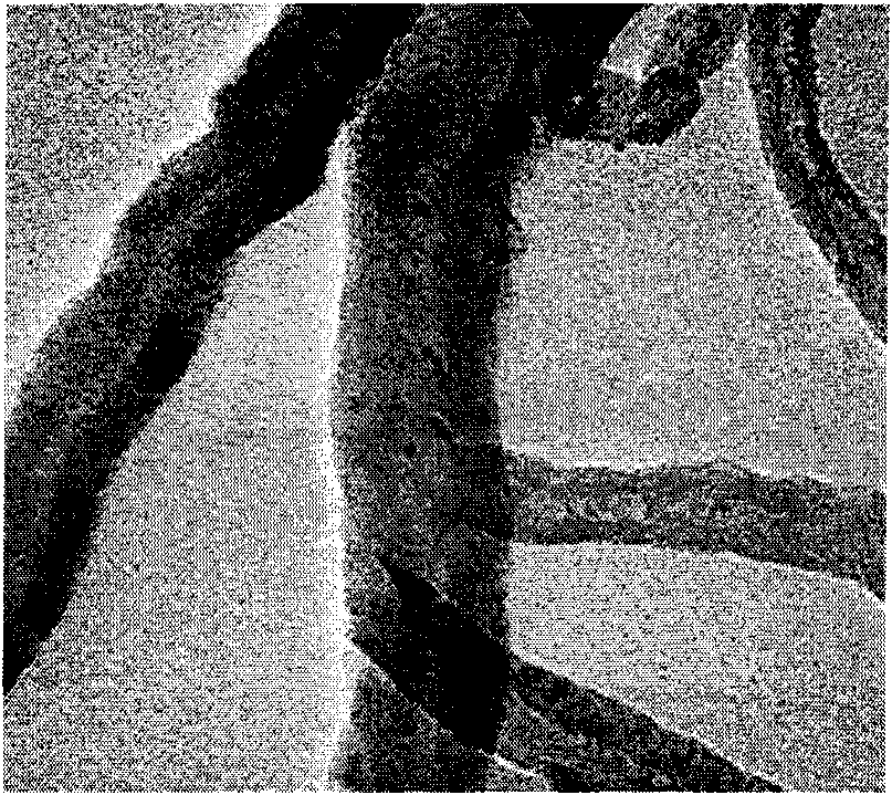 Platinum/carbon nanotube catalyst and preparation method and application thereof