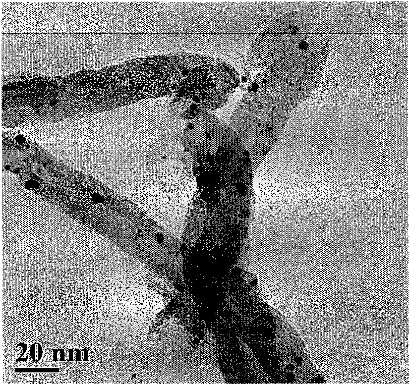 Platinum/carbon nanotube catalyst and preparation method and application thereof