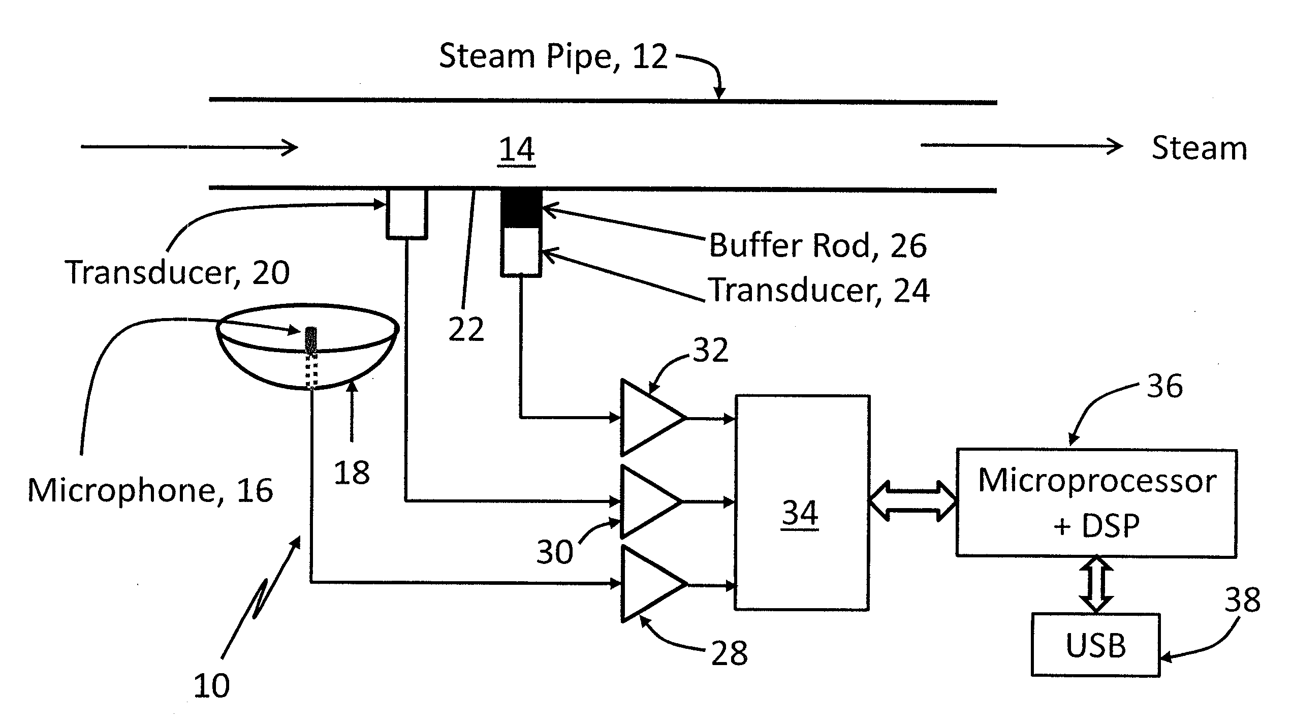 Apparatus and method for acoustic monitoring of steam quality and flow