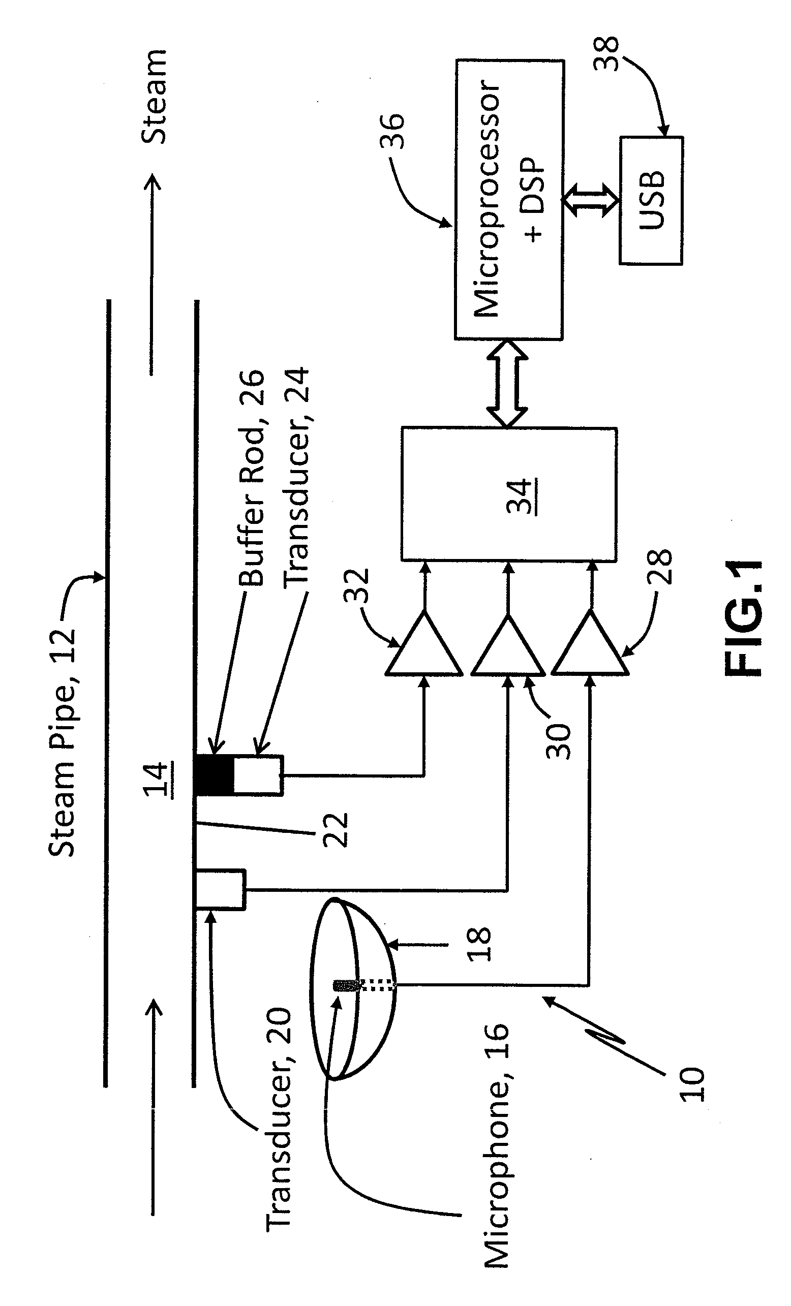 Apparatus and method for acoustic monitoring of steam quality and flow