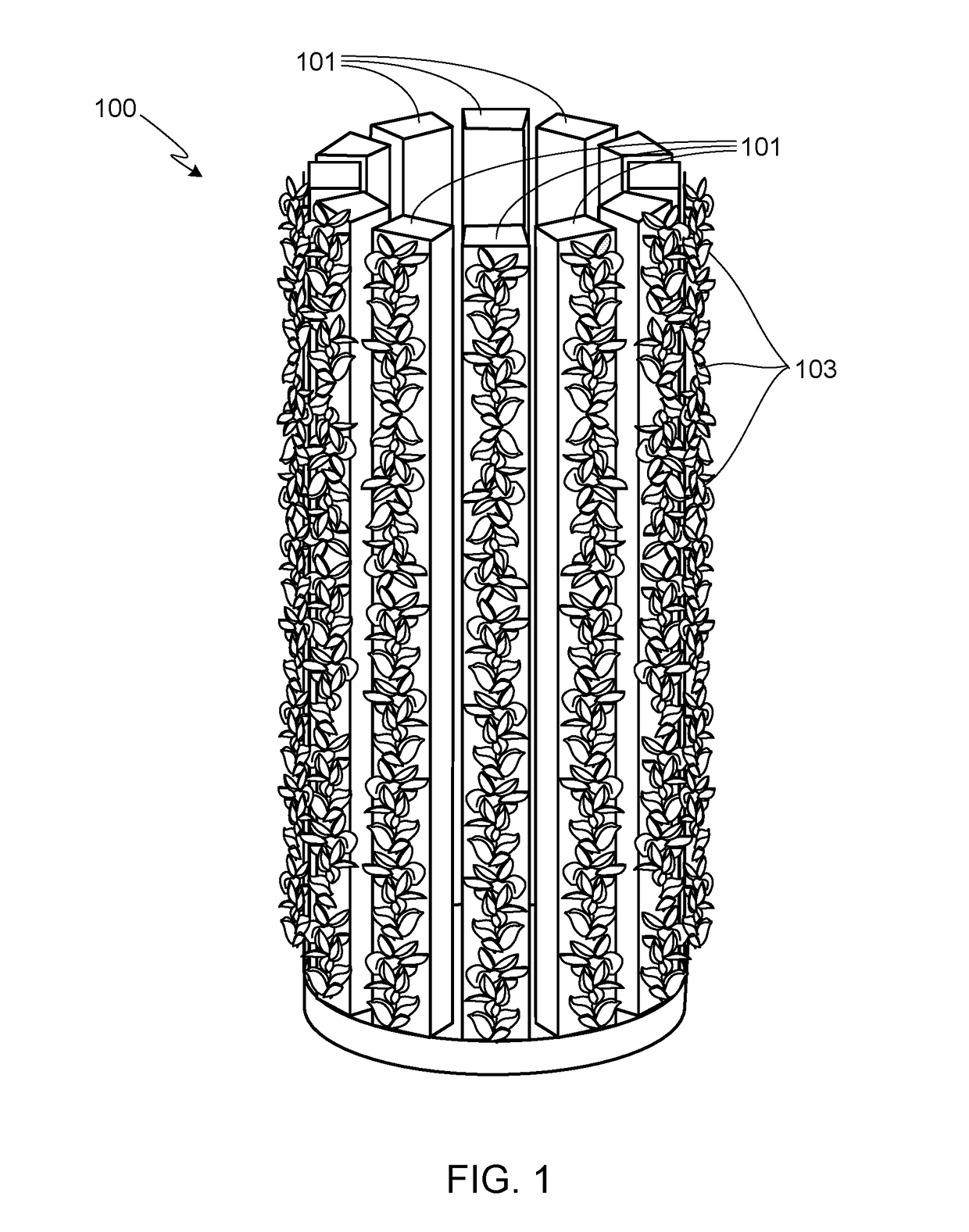 Hydroponic Plant Display System