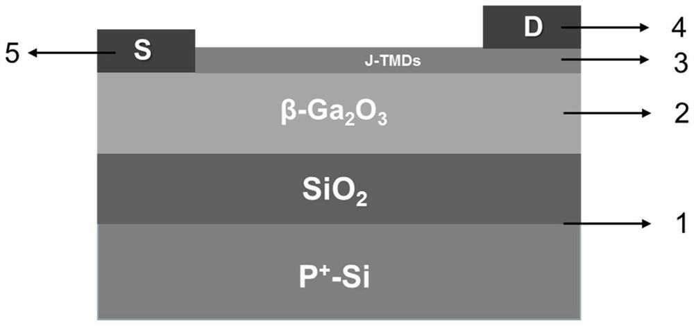 High-speed photoelectronic device based on polar J-TMDs/beta-Ga2O3 heterojunction and preparation method thereof