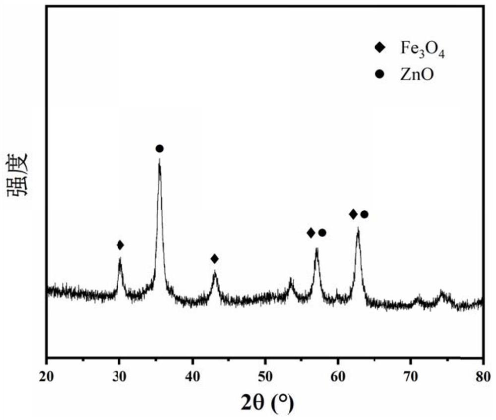 ZnO@Fe3O4 nano-liposome and preparation method thereof and application thereof in removal of drug-resistant bacteria