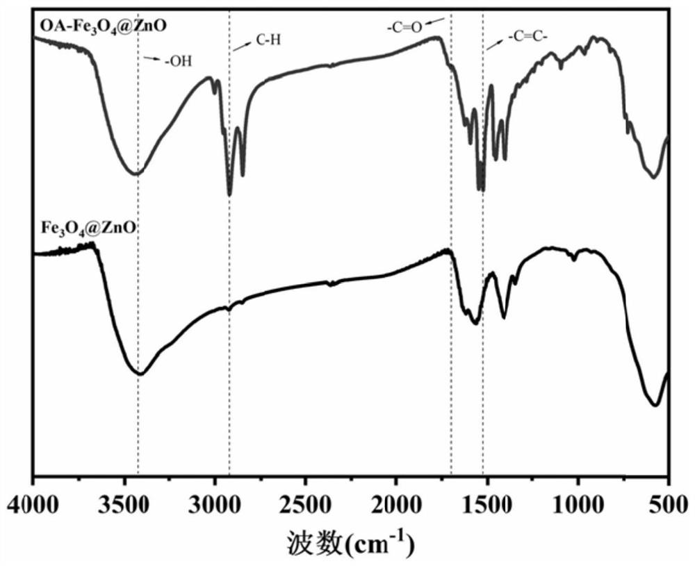 ZnO@Fe3O4 nano-liposome and preparation method thereof and application thereof in removal of drug-resistant bacteria