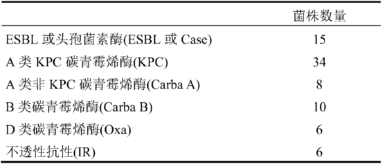 Detection of bacteria having a resistance to carbapenems