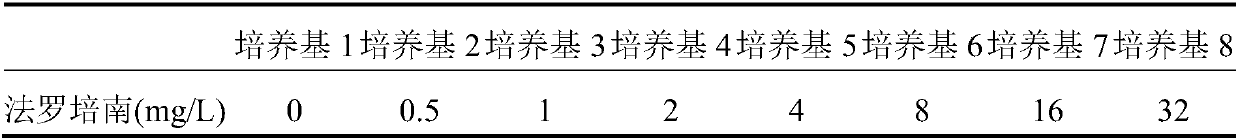 Detection of bacteria having a resistance to carbapenems