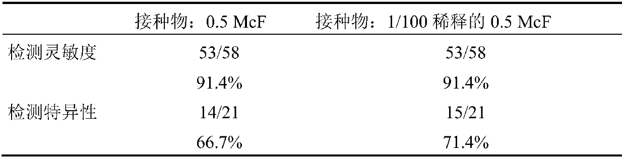 Detection of bacteria having a resistance to carbapenems