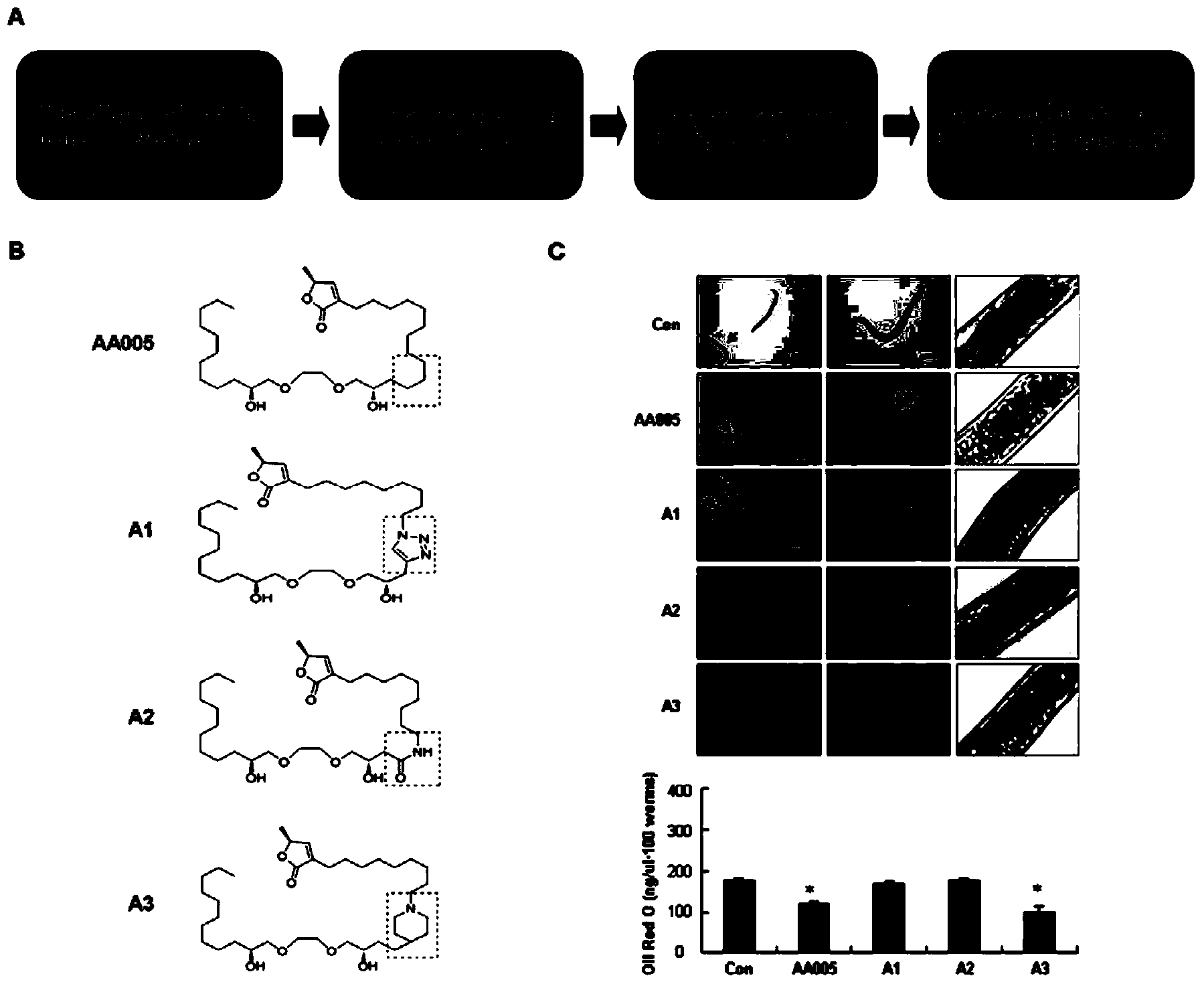 Method for accurately and rapidly identifying drug target of active compound obtained by phenotypic screening