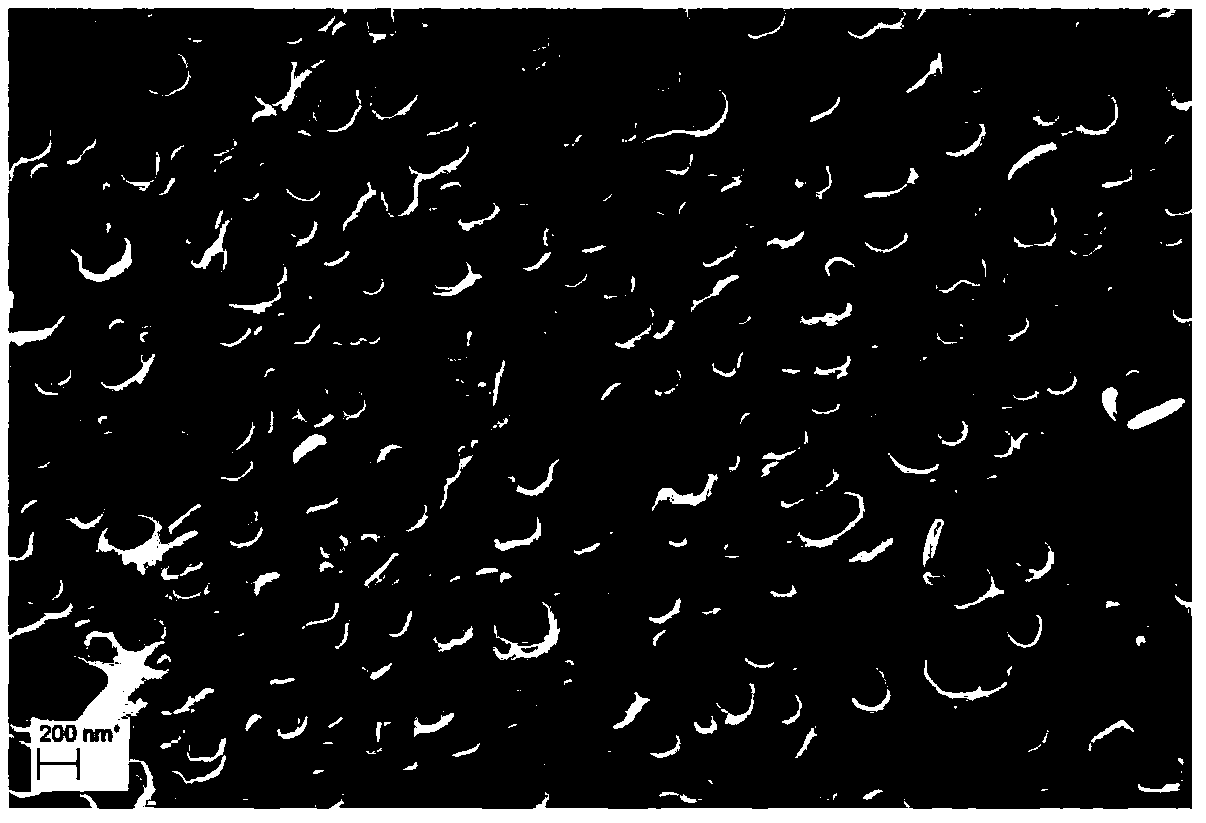 Porous polymer membrane, preparation method thereof and application of porous polymer membrane as gel polymer electrolyte