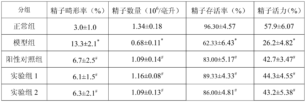 Pharmaceutical composition with spermatogenic effect